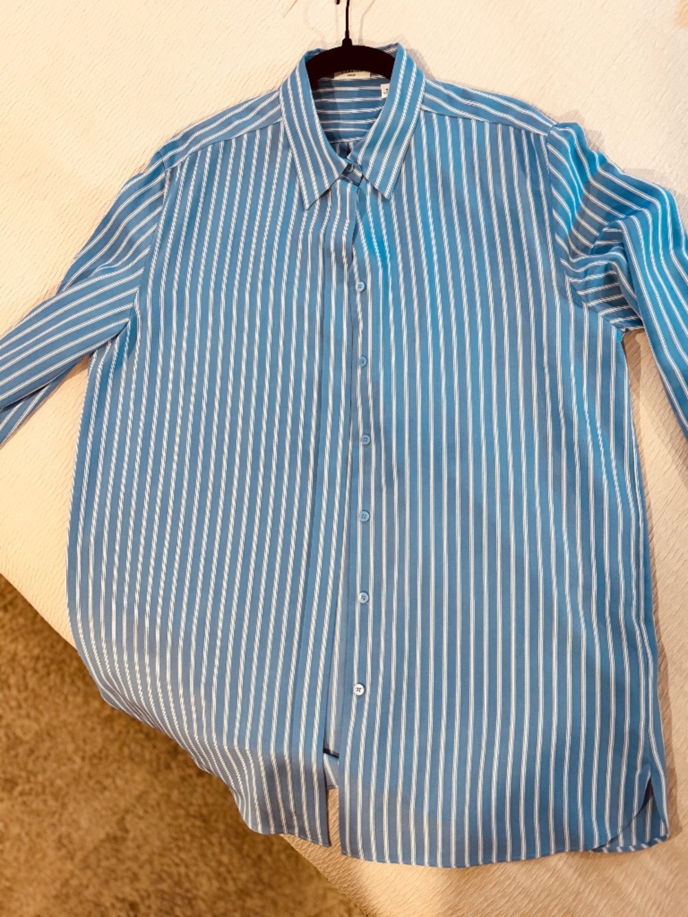 Aritzia Babaton Casting Silk Shirt